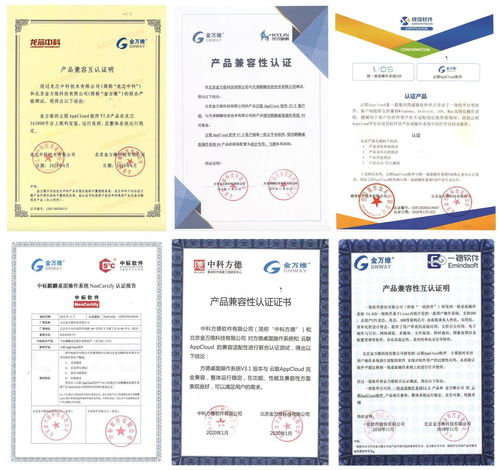 金萬維 國產(chǎn)化替代吹響沖鋒號,傳統(tǒng)軟件如何快速落地到 國產(chǎn)化 環(huán)境中